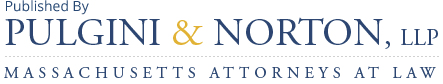 Pulgini & Norton, LLP